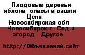 Плодовые деревья яблони, сливы и вишня. › Цена ­ 300 - Новосибирская обл., Новосибирск г. Сад и огород » Другое   